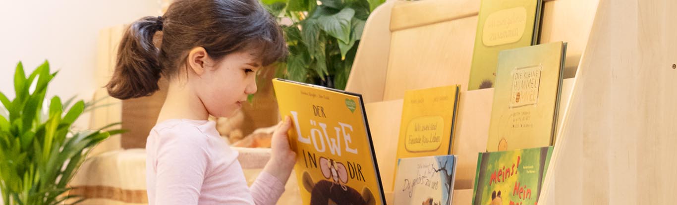 Book And Library Shelves