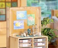 solid wood classroom shelf decorated with ocean display
