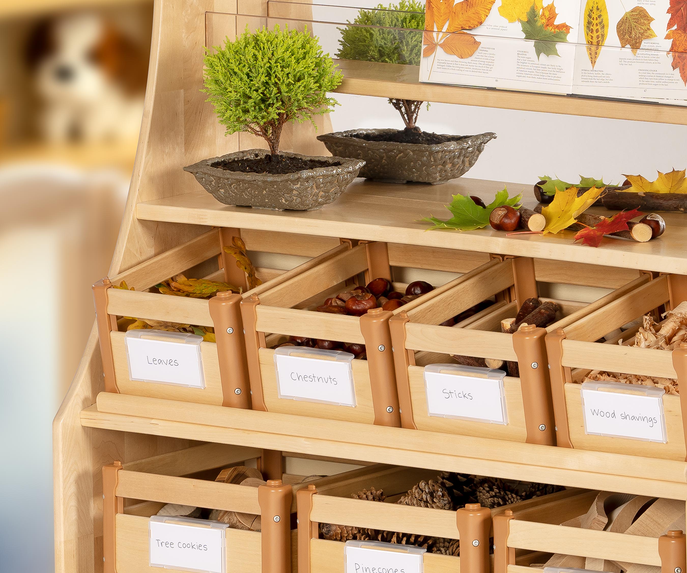 Shelf with carry crates holding nature and craft items