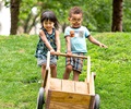 Two toddlers pushing a children’s wooden wheelbarrow in a meadow