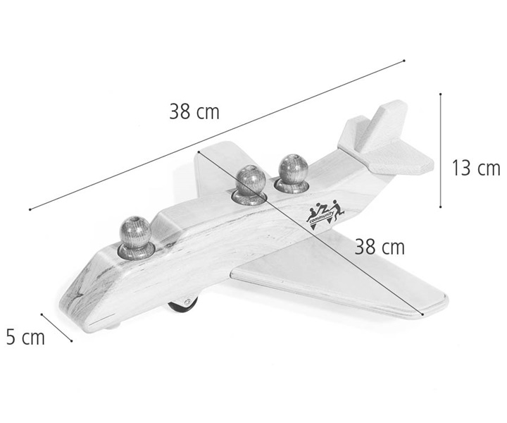 T76 Airplane dimensions